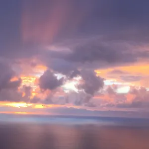 https://serenity-hale.hotelsinhawaii.org